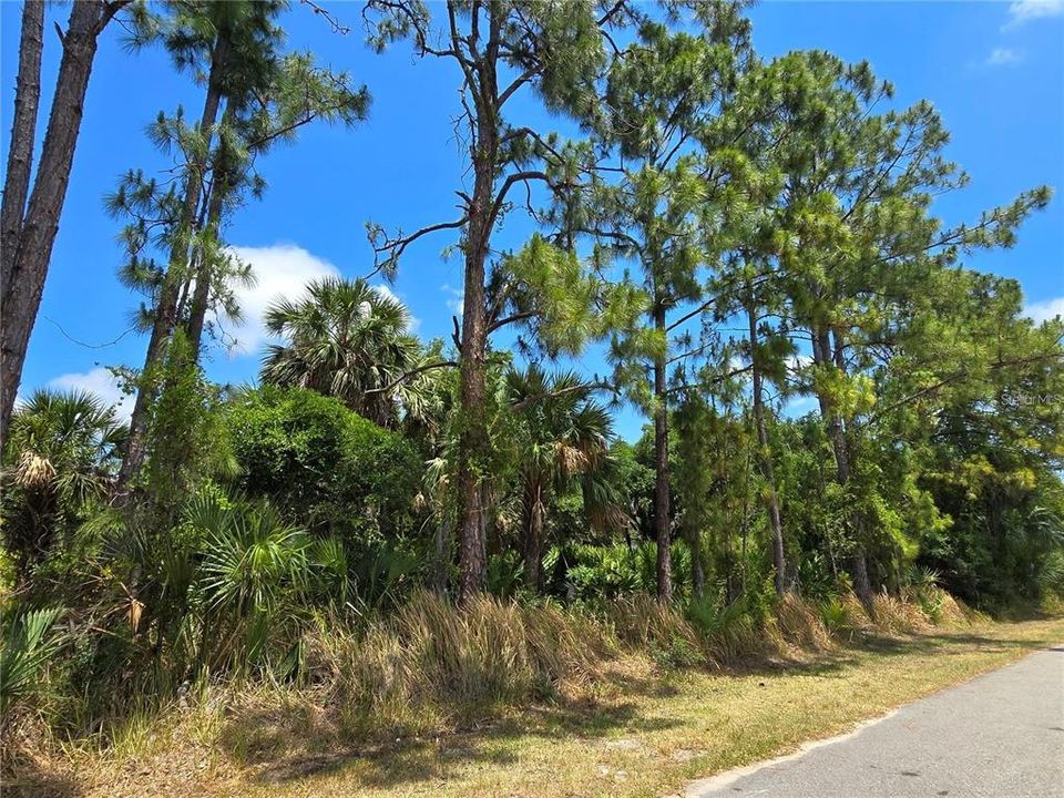 На продажу: $74,900 (0.69 acres)