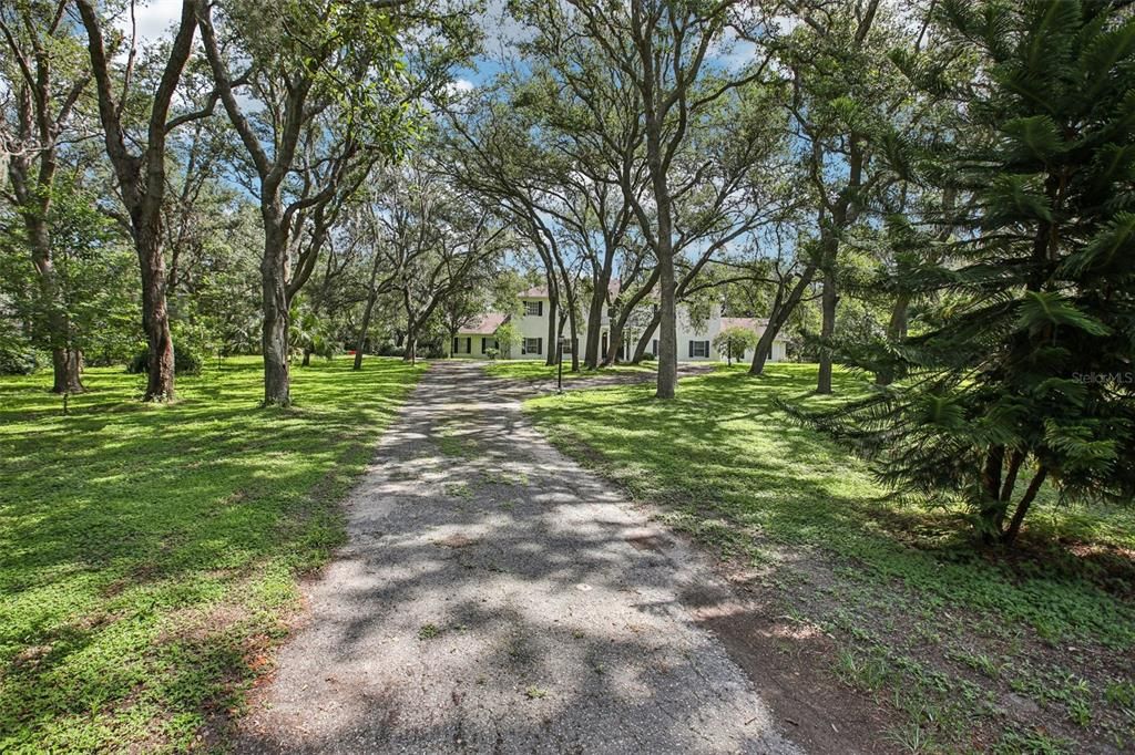 Activo con contrato: $989,000 (5 camas, 5 baños, 4983 Pies cuadrados)