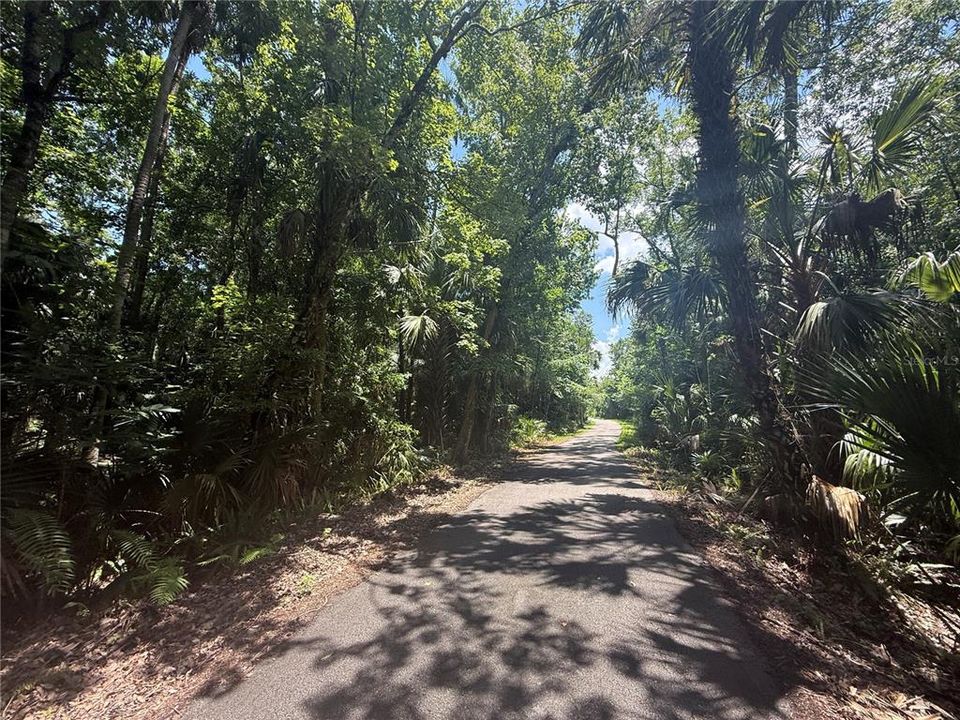 Active With Contract: $250,000 (9.80 acres)