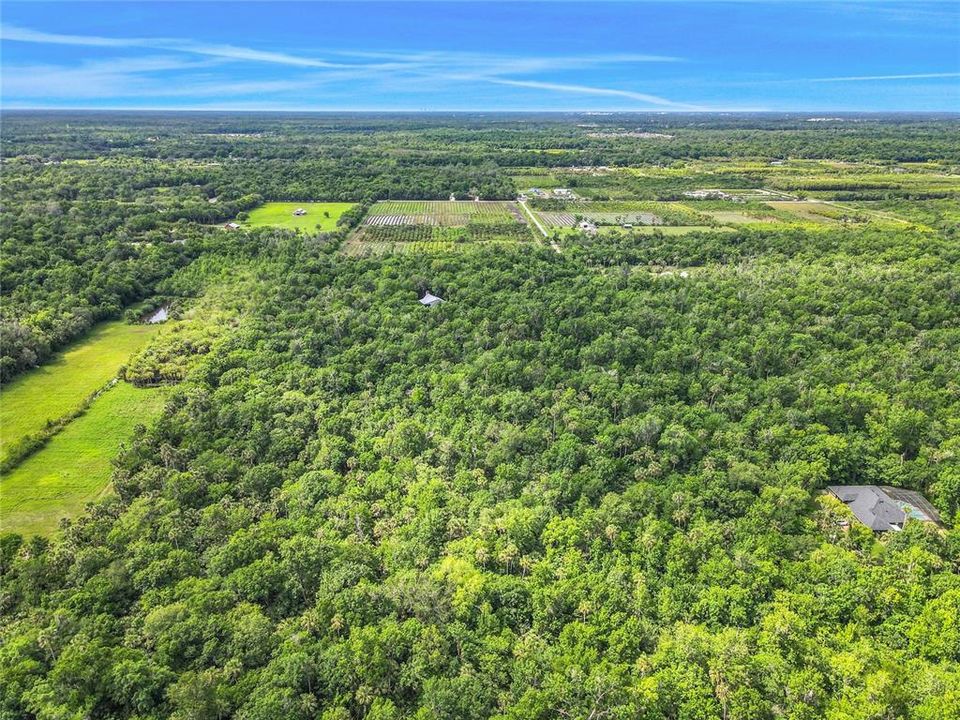 Active With Contract: $250,000 (9.80 acres)