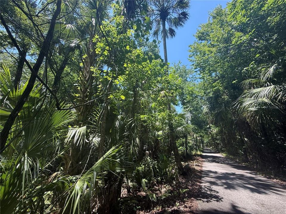 Active With Contract: $250,000 (9.80 acres)