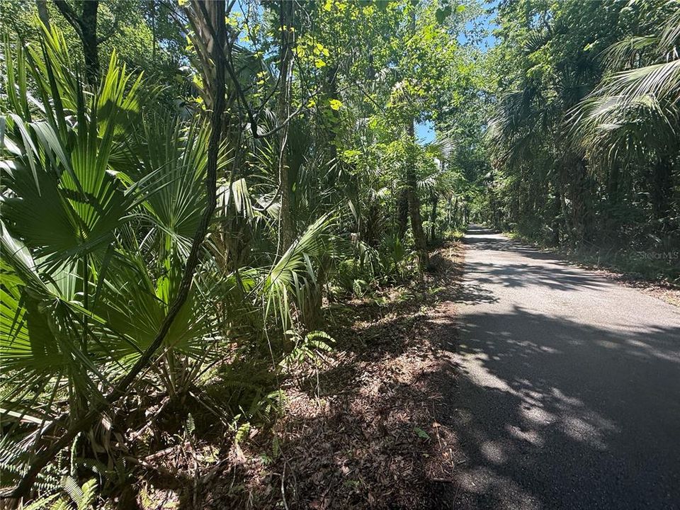 Active With Contract: $250,000 (9.80 acres)