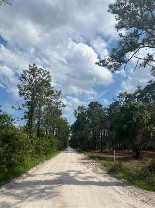 Vendido Recientemente: $35,000 (1.25 acres)