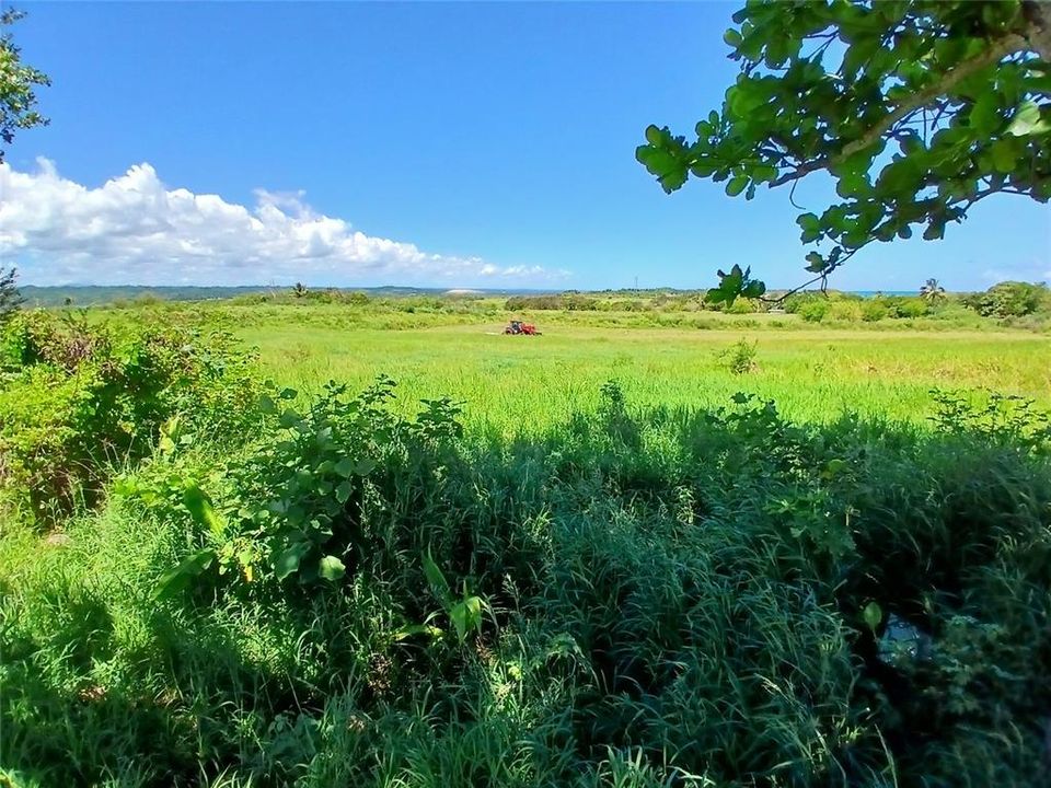 待售: $299,000 (0.50 acres)