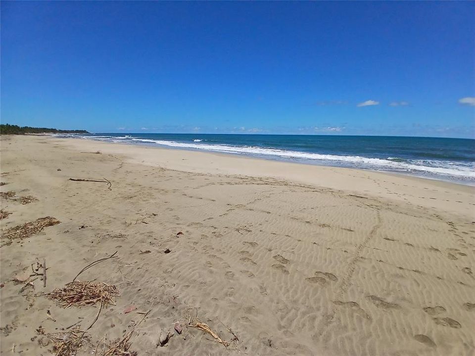 待售: $299,000 (0.50 acres)