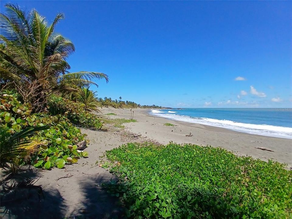 待售: $299,000 (0.50 acres)