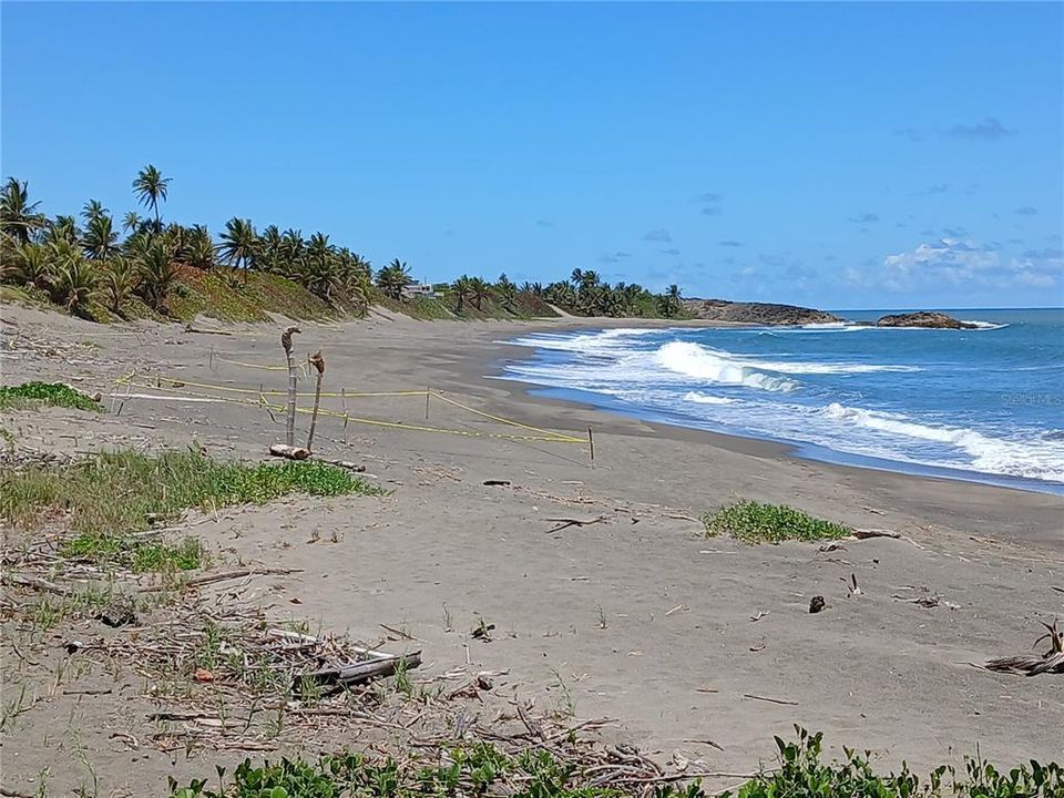 待售: $299,000 (0.50 acres)