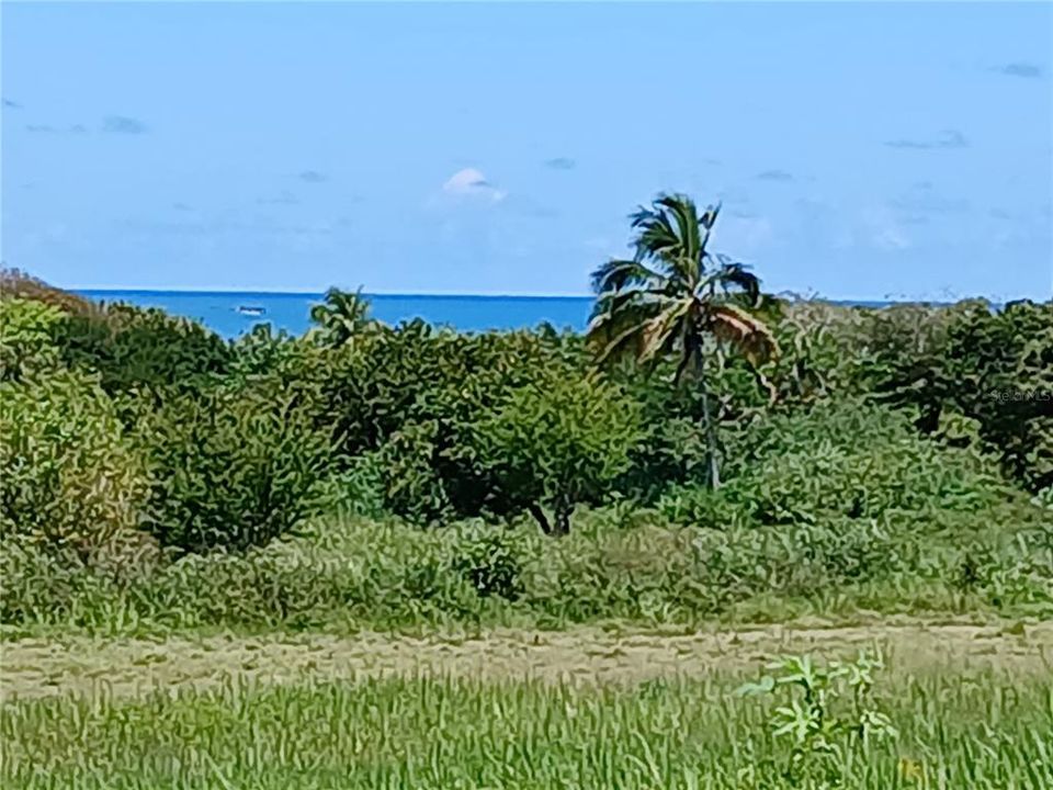 待售: $299,000 (0.50 acres)