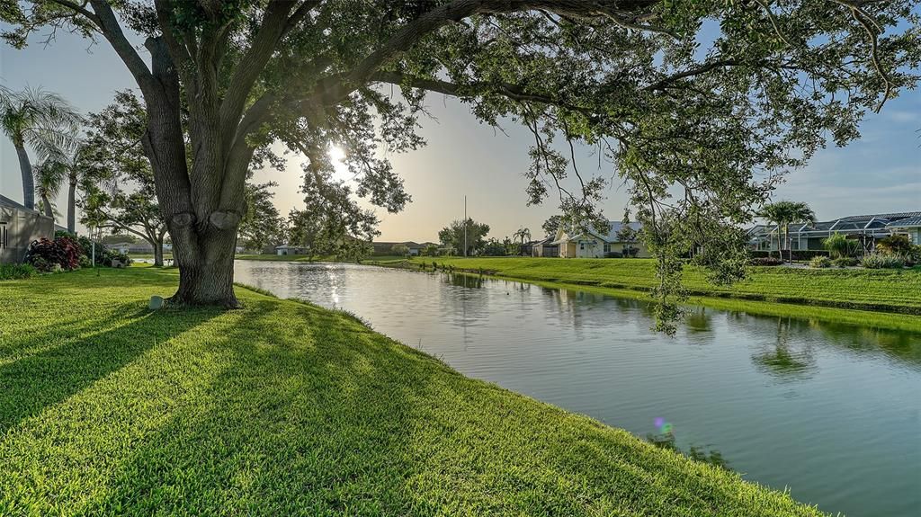 Под контрактом: $580,000 (3 спален, 2 ванн, 2429 Квадратных фут)