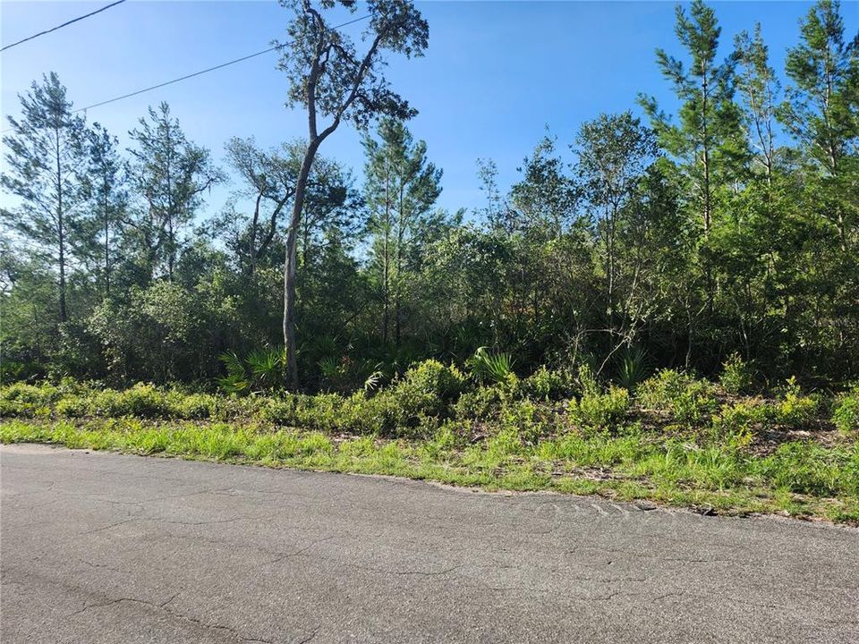 En Venta: $30,000 (0.26 acres)