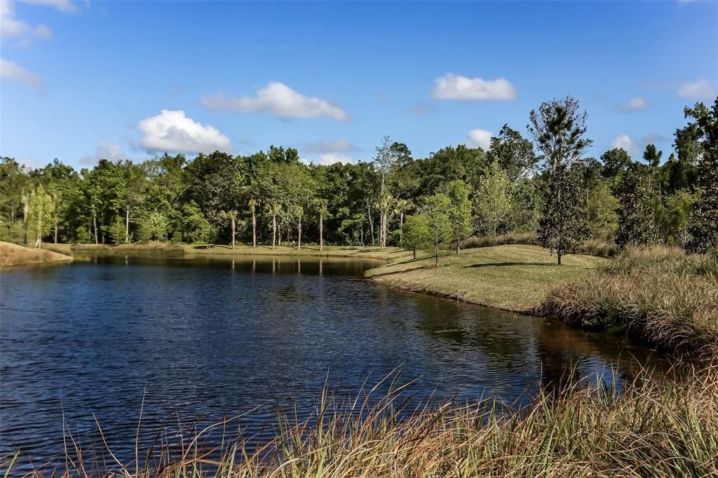 For Sale: $615,000 (4 beds, 3 baths, 2849 Square Feet)