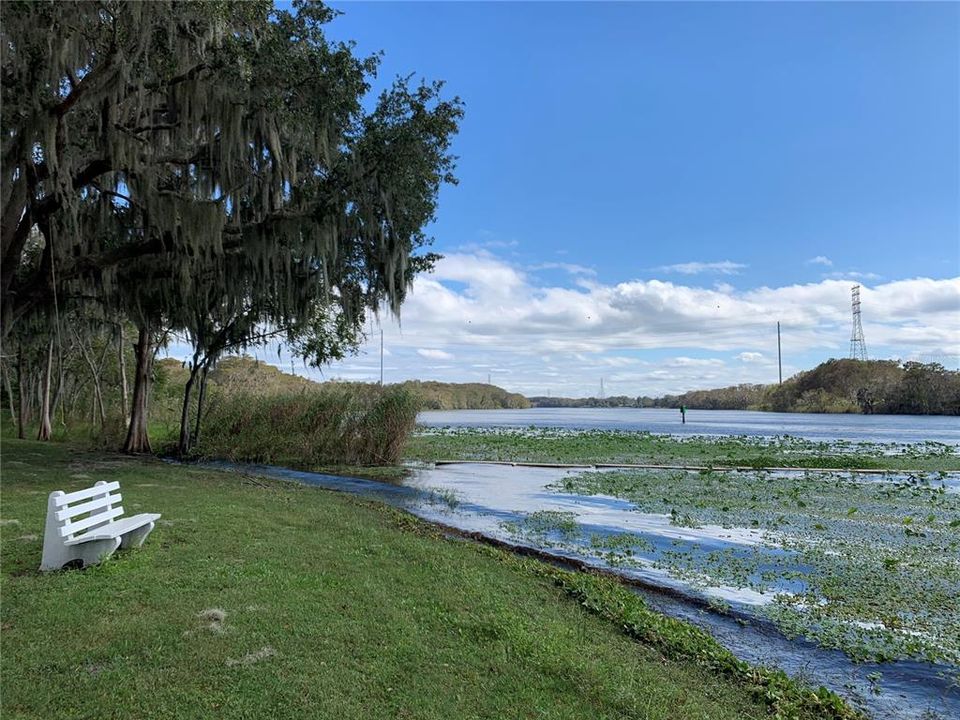 En Venta: $125,000 (0.11 acres)