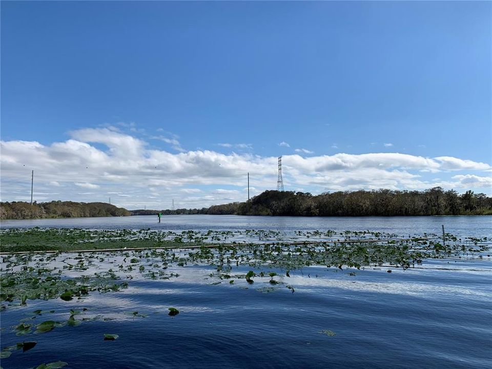 En Venta: $125,000 (0.11 acres)