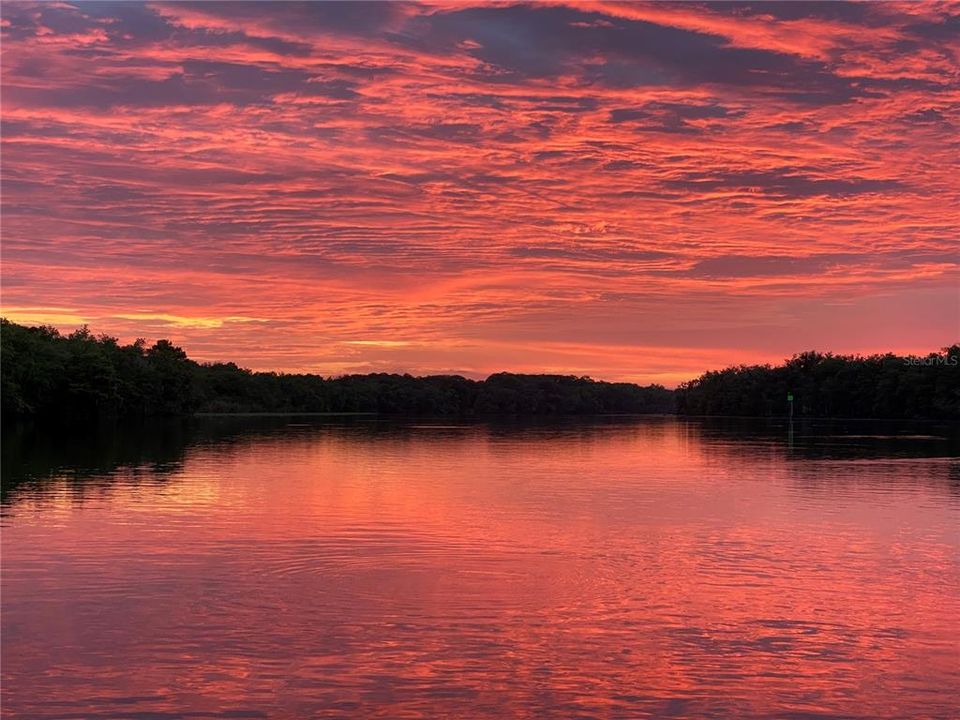 En Venta: $125,000 (0.11 acres)