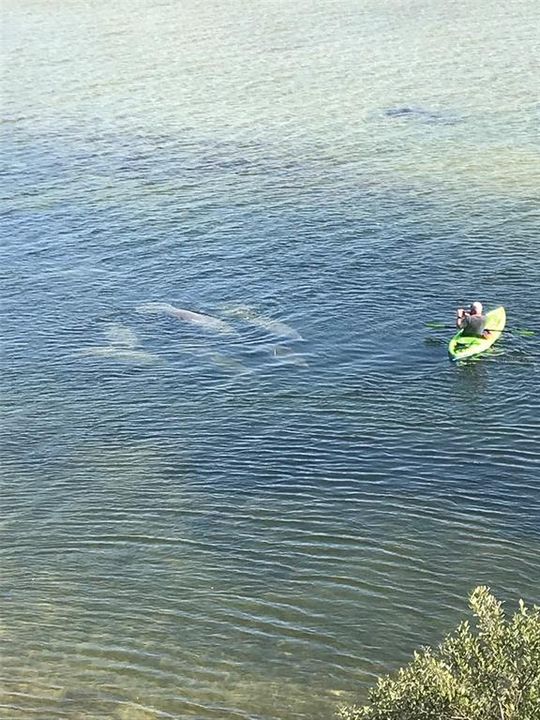 待售: $2,875,000 (4 贝兹, 4 浴室, 4816 平方英尺)