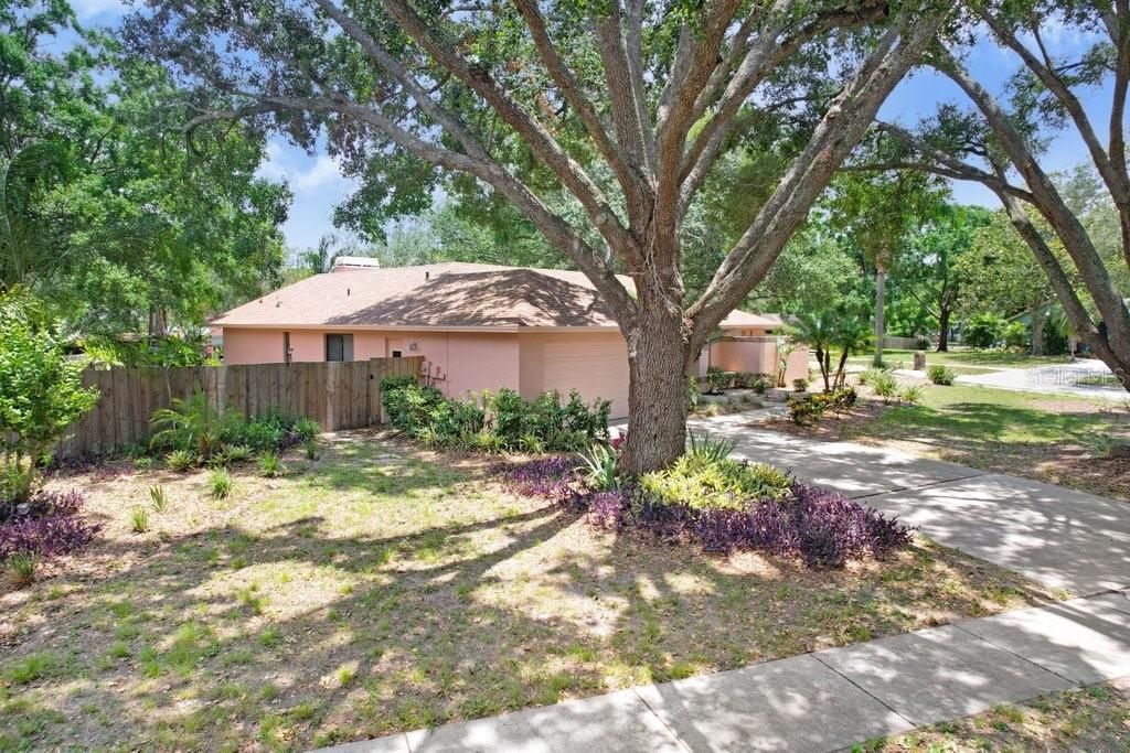 合同活跃: $445,000 (4 贝兹, 2 浴室, 1924 平方英尺)