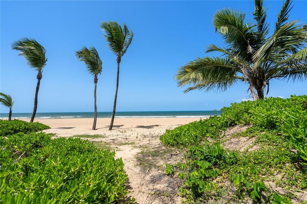 待售: $9,900,000 (4 贝兹, 4 浴室, 3920 平方英尺)