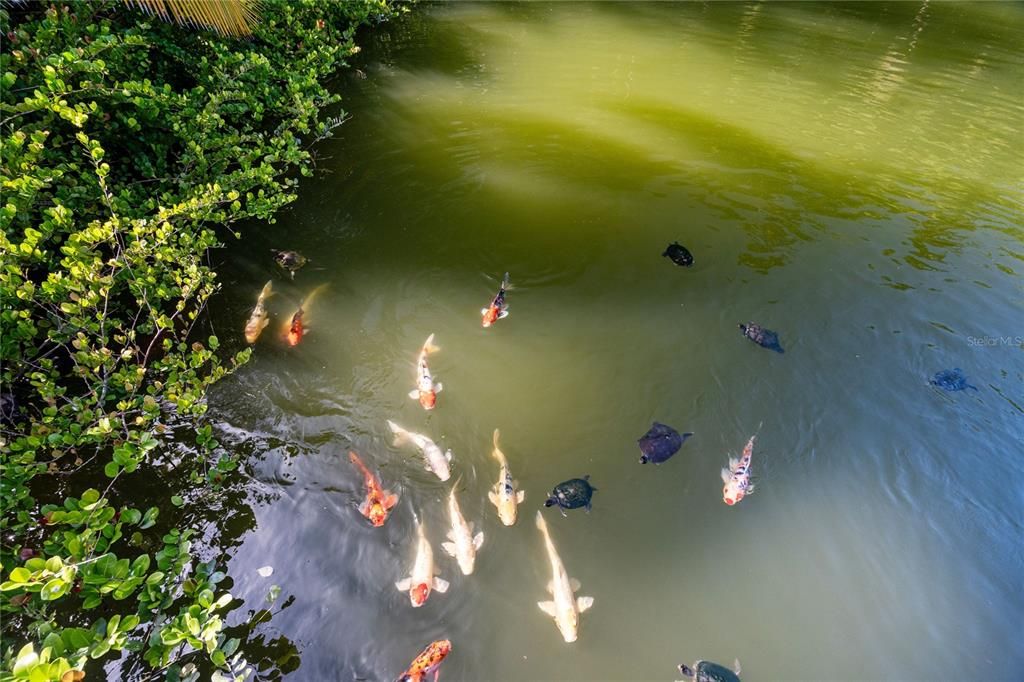 待售: $9,900,000 (4 贝兹, 4 浴室, 3920 平方英尺)