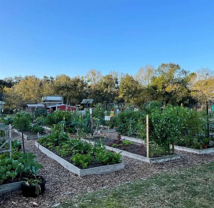 Active With Contract: $299,900 (2 beds, 2 baths, 1504 Square Feet)