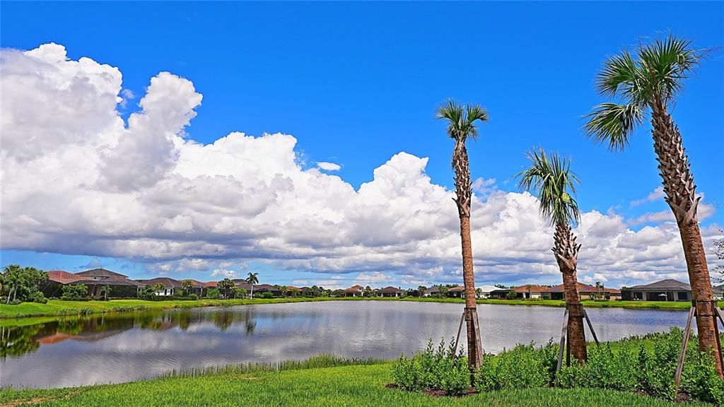 En Renta: $5,000 (3 camas, 3 baños, 3019 Pies cuadrados)