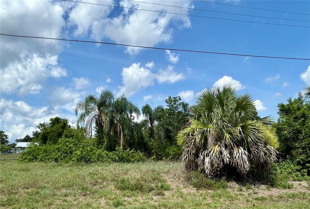 En Venta: $70,000 (0.23 acres)