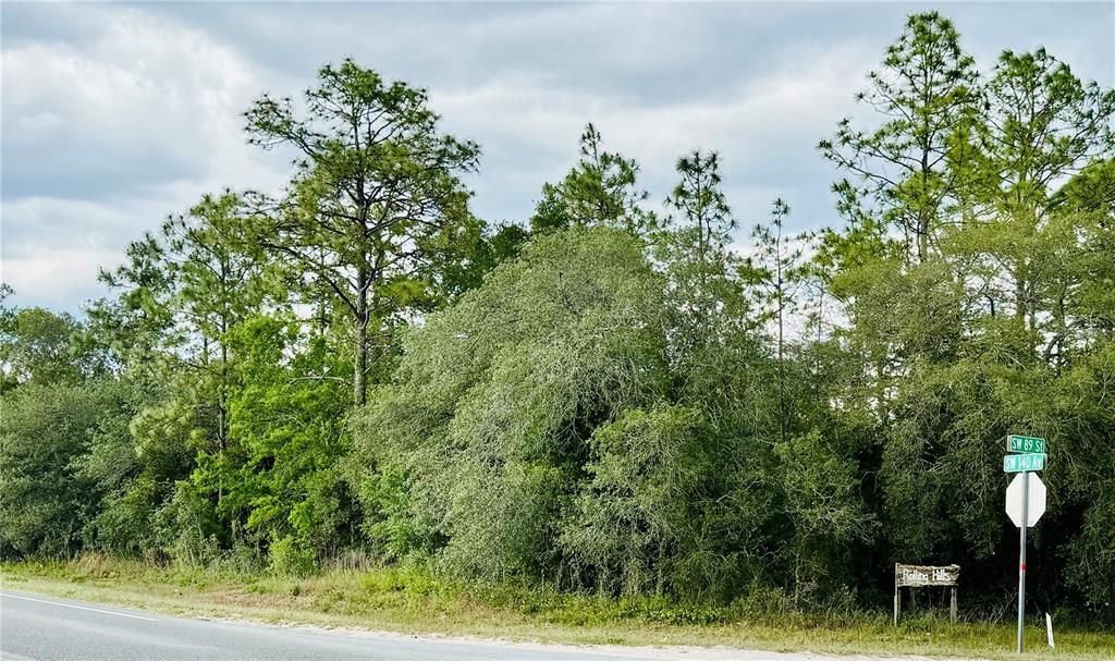 На продажу: $75,000 (1.13 acres)