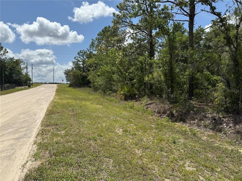 На продажу: $75,000 (1.13 acres)