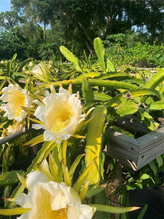 待售: $1,789,900 (7 贝兹, 4 浴室, 6226 平方英尺)