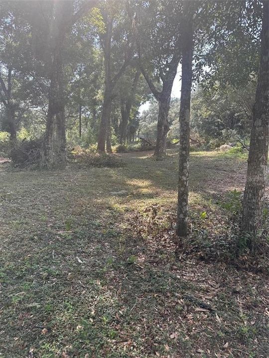 For Sale: $77,000 (1.29 acres)