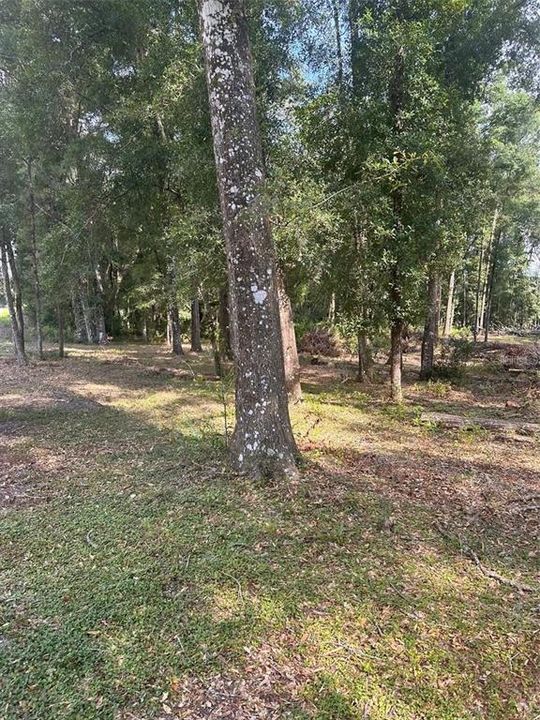 For Sale: $77,000 (1.29 acres)