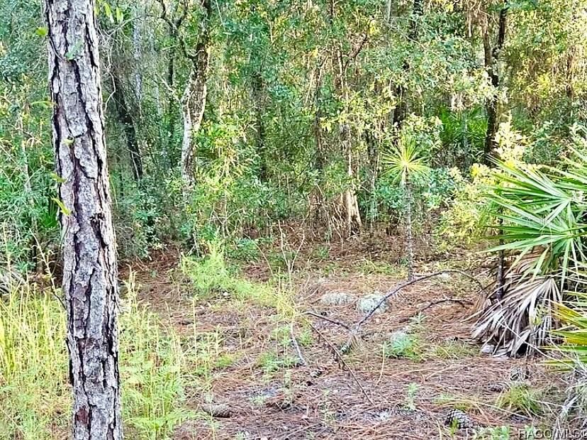 For Sale: $36,000 (1.25 acres)