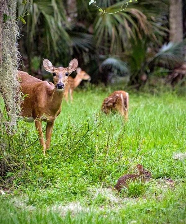 Active With Contract: $329,000 (1 beds, 1 baths, 1135 Square Feet)