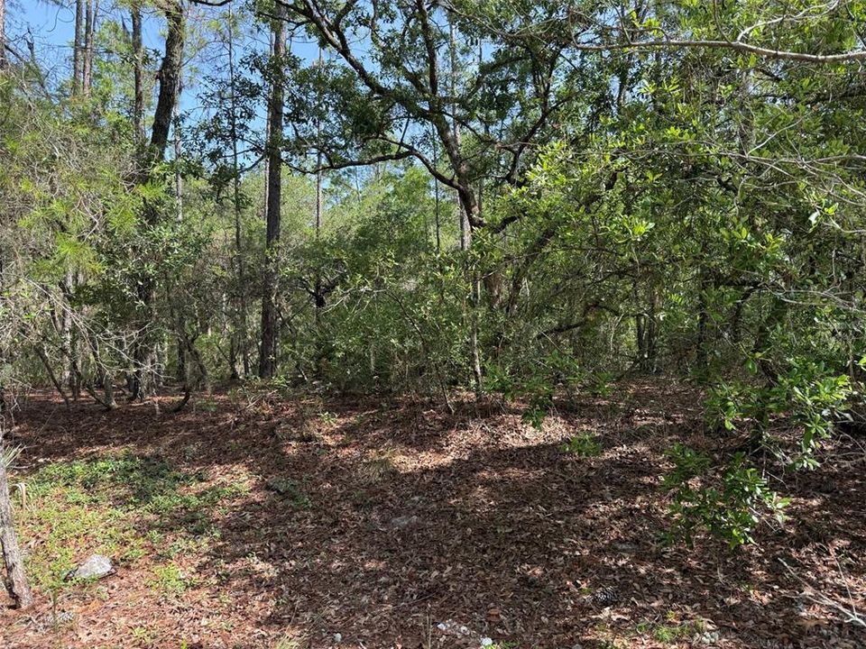 待售: $39,700 (2.67 acres)