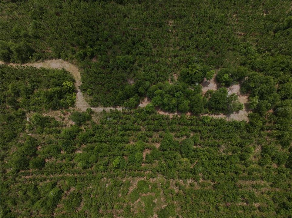 En Venta: $550,000 (30.95 acres)