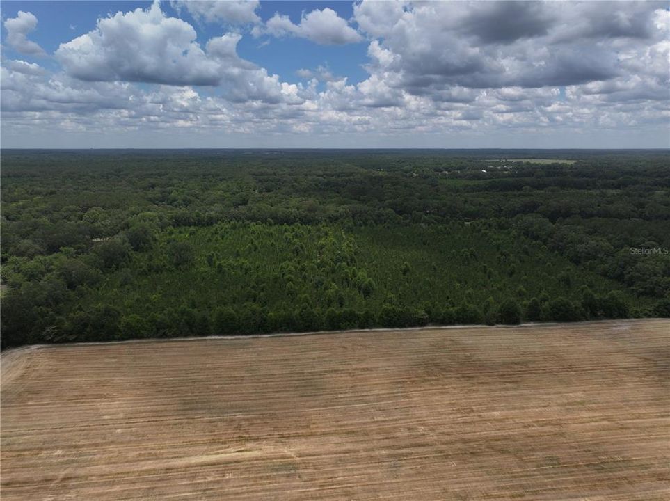 En Venta: $550,000 (30.95 acres)