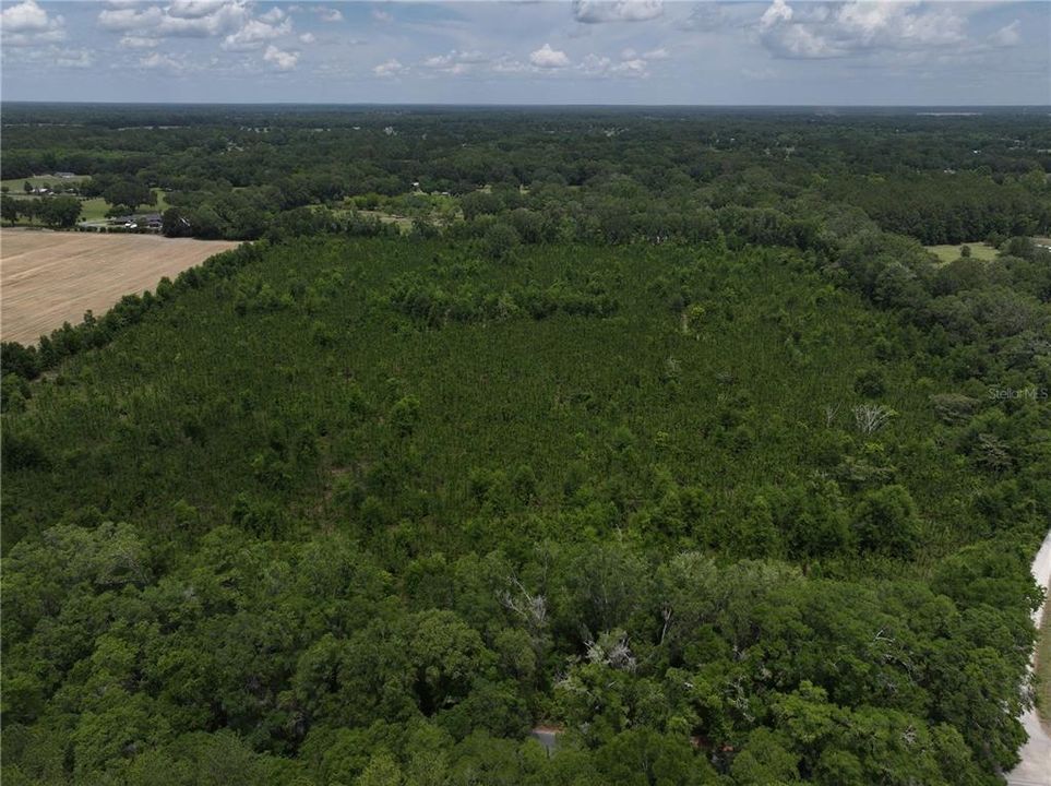 En Venta: $550,000 (30.95 acres)