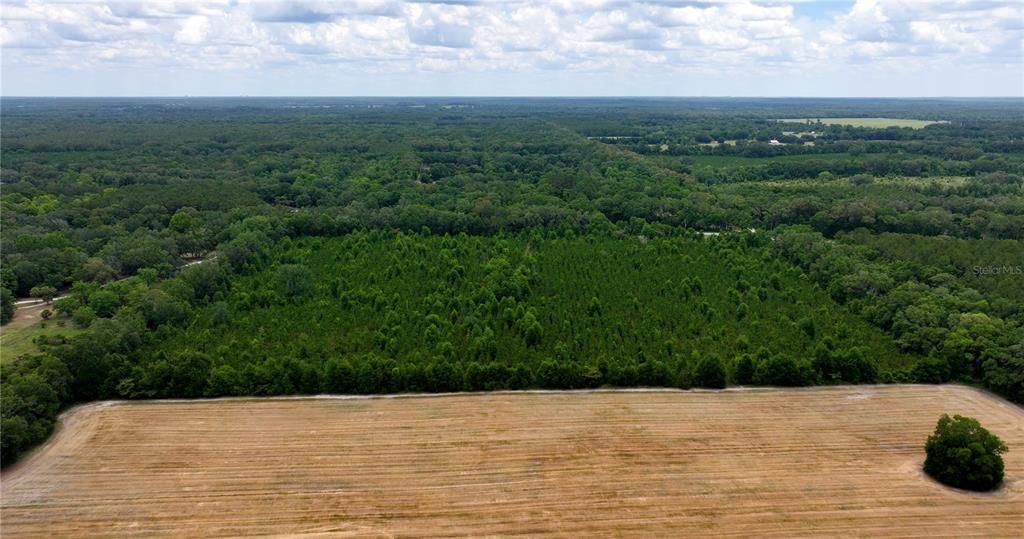 En Venta: $550,000 (30.95 acres)