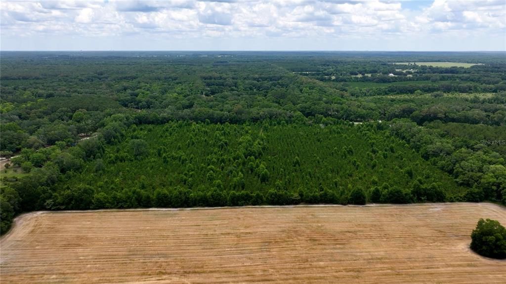 En Venta: $550,000 (30.95 acres)