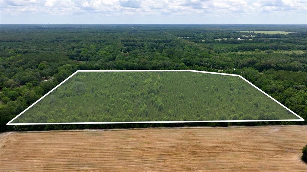 En Venta: $550,000 (30.95 acres)