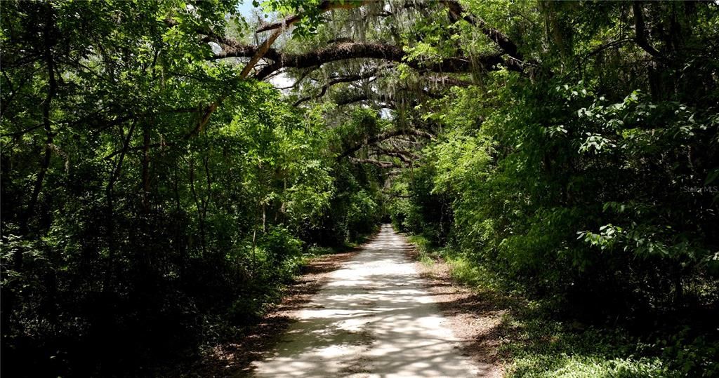 En Venta: $550,000 (30.95 acres)