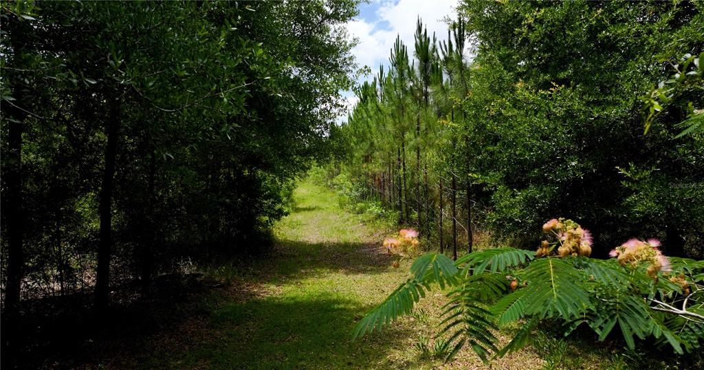 En Venta: $550,000 (30.95 acres)