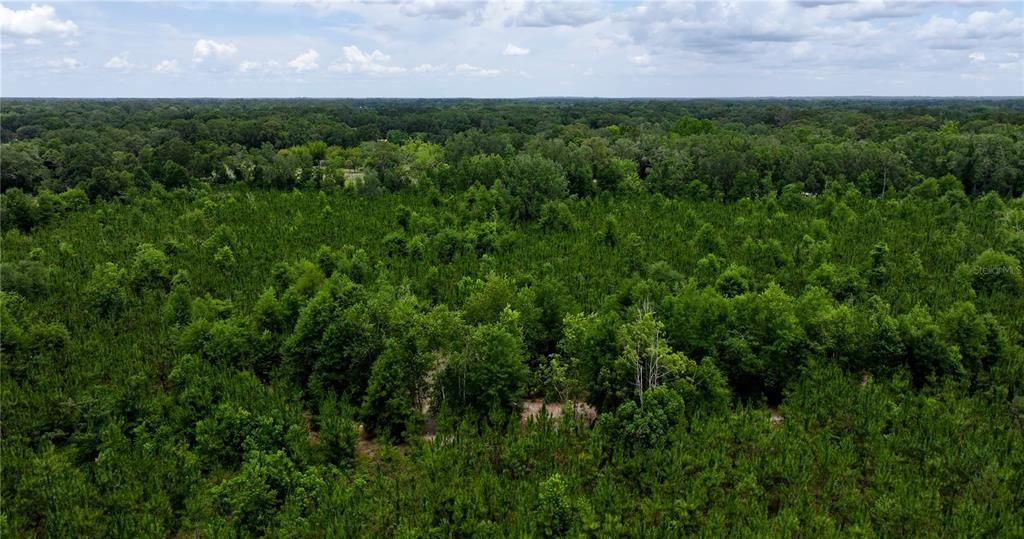 En Venta: $550,000 (30.95 acres)