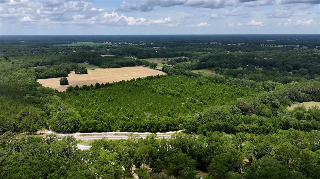 En Venta: $550,000 (30.95 acres)