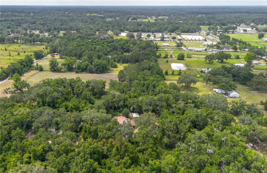 待售: $375,000 (3 贝兹, 2 浴室, 1560 平方英尺)