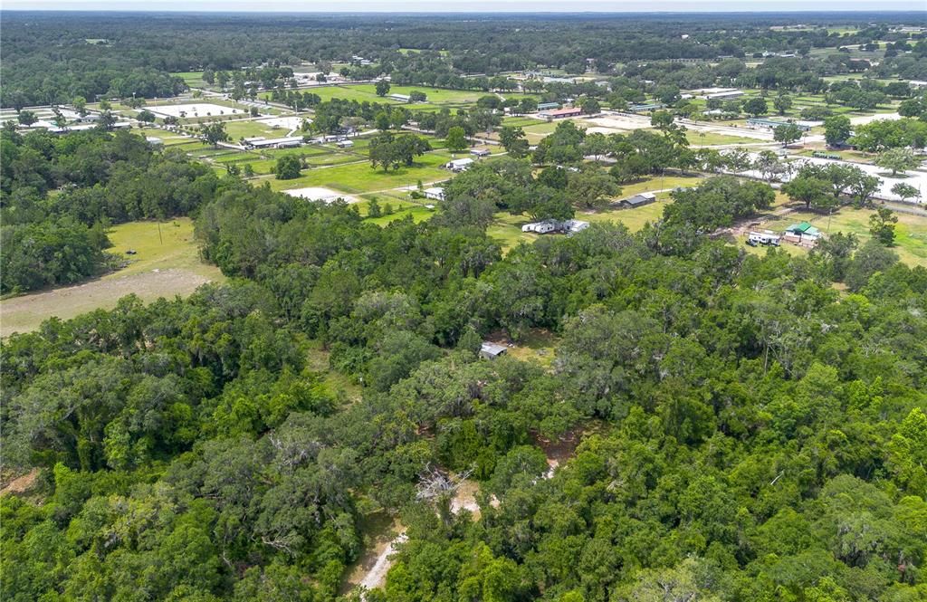 待售: $375,000 (3 贝兹, 2 浴室, 1560 平方英尺)