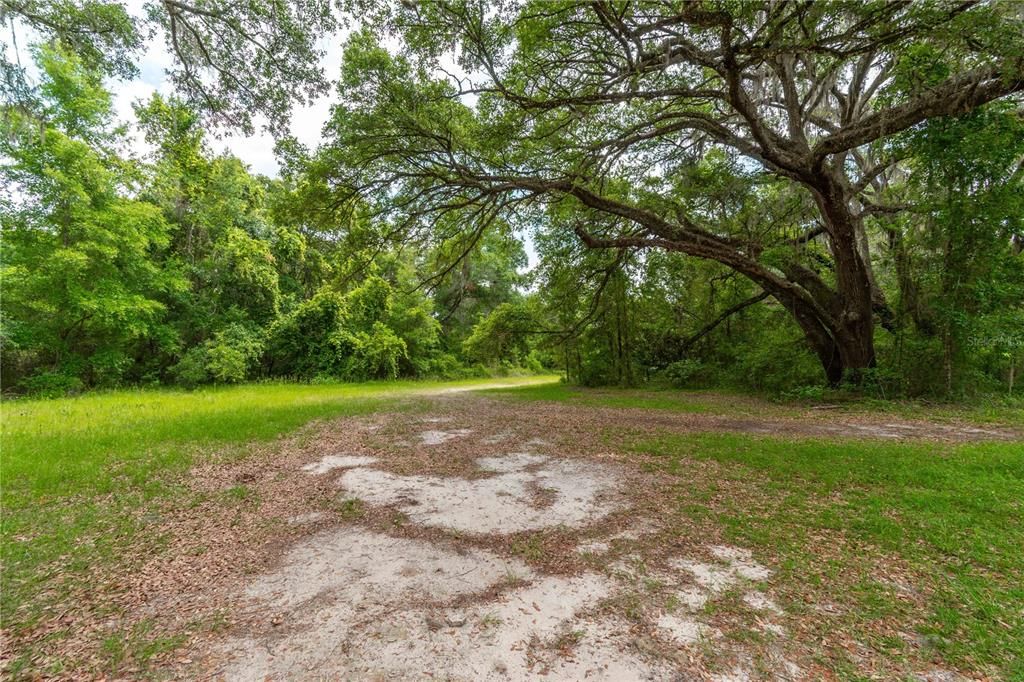 待售: $375,000 (3 贝兹, 2 浴室, 1560 平方英尺)