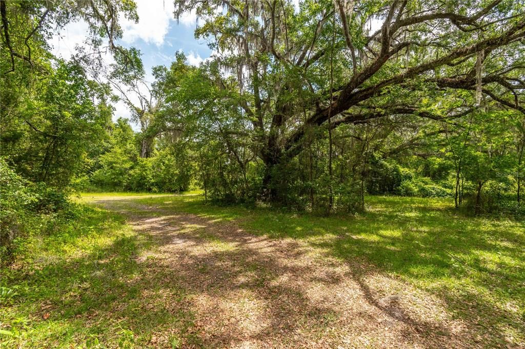 待售: $375,000 (3 贝兹, 2 浴室, 1560 平方英尺)