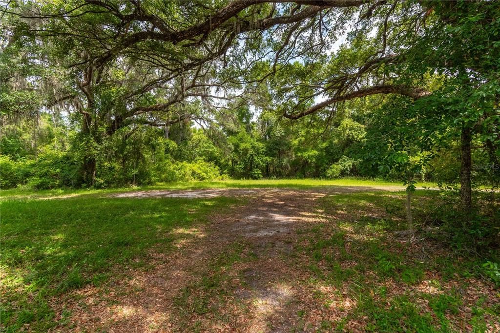 待售: $375,000 (3 贝兹, 2 浴室, 1560 平方英尺)