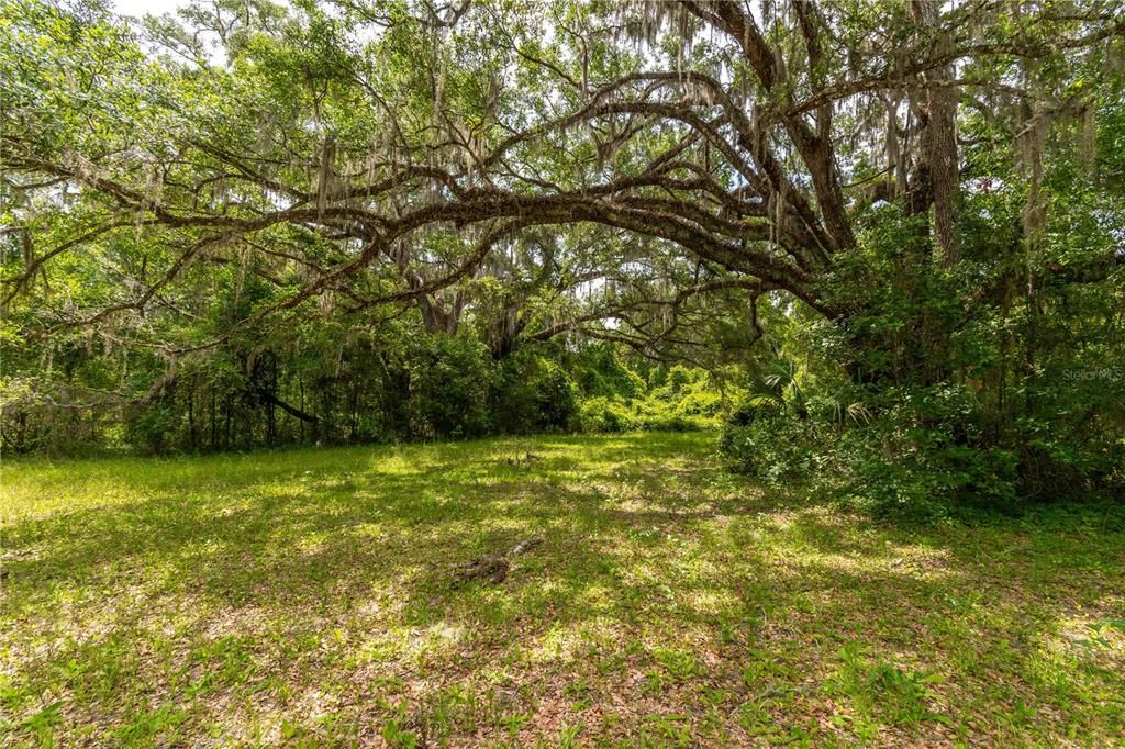 待售: $375,000 (3 贝兹, 2 浴室, 1560 平方英尺)