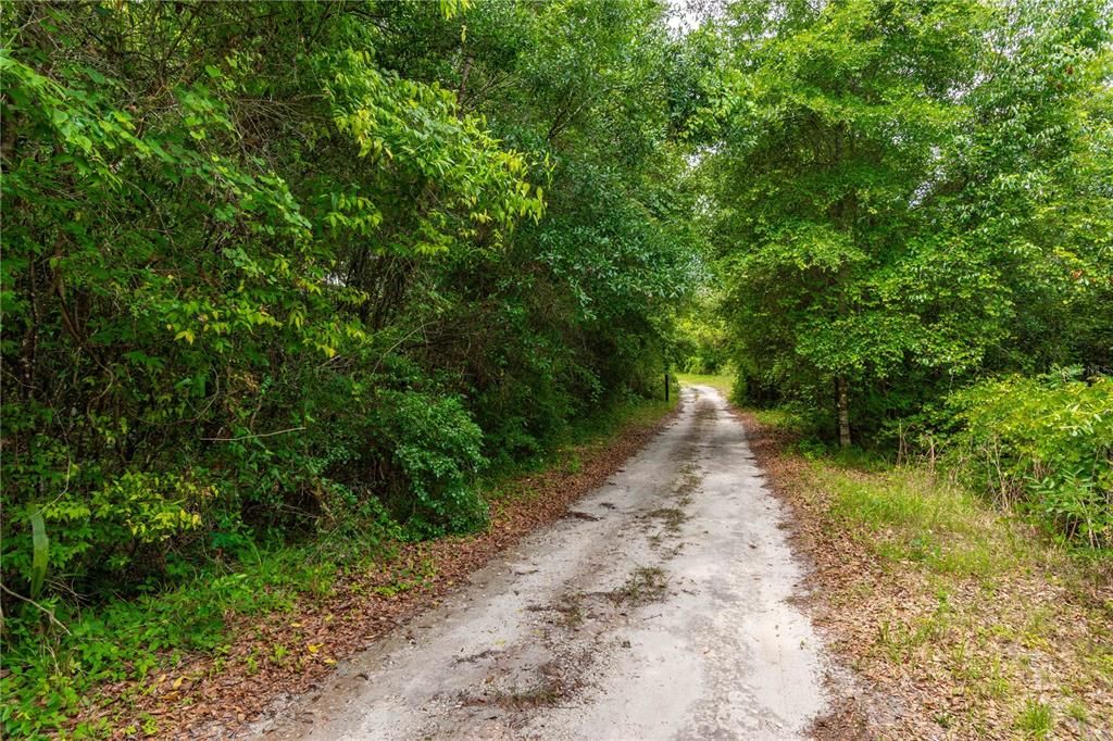 待售: $375,000 (3 贝兹, 2 浴室, 1560 平方英尺)